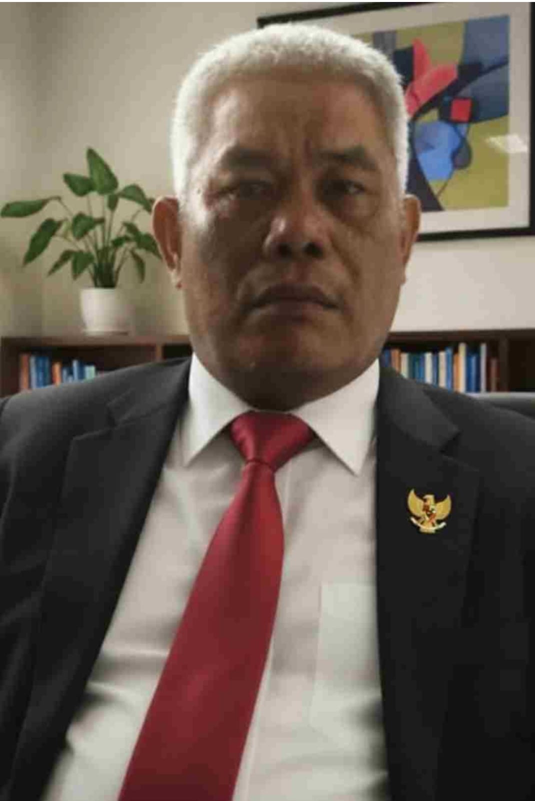 Ali Sopyan Relawan Rakyat Membela Prabowo (RAMBO)